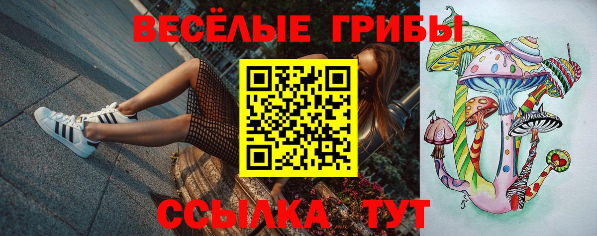 Псилоцибиновые грибы Magic Shrooms  Вход с VPN  Кохма 