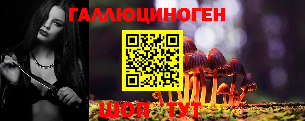 Галлюциногенные грибы мицелий Кохма